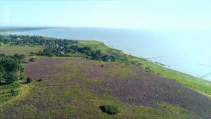 Sylt - Wellen, Wind und Watt's poster