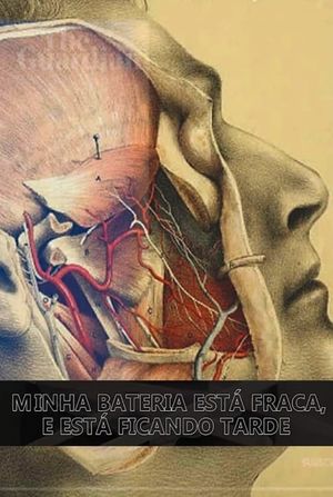 Minha Bateria Está Fraca e Está Ficando Tarde's poster