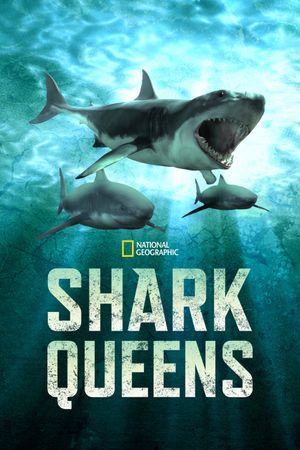 Shark Queens's poster