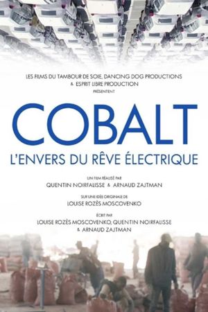 Cobalt, l'envers du rêve électrique's poster