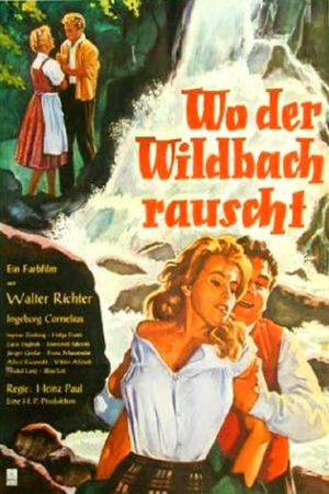 Wo der Wildbach rauscht's poster