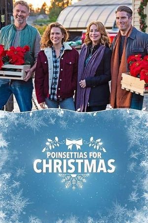 Poinsettias for Christmas's poster