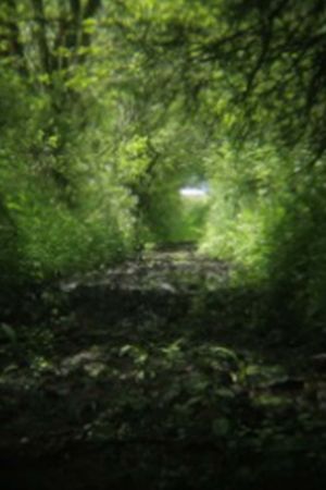 On Location's poster