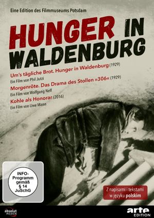 Hunger in Waldenburg's poster image