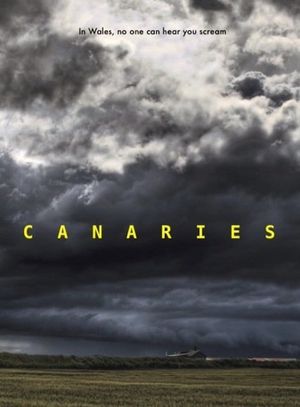 Canaries's poster