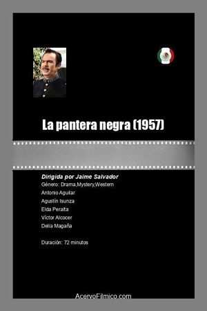 La pantera negra's poster
