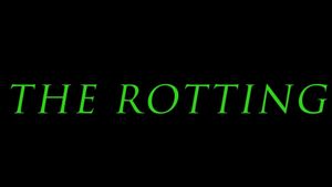 The Rotting's poster