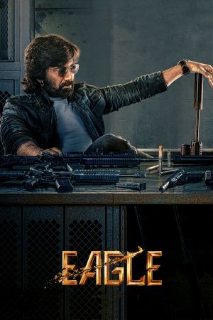 Eagle's poster