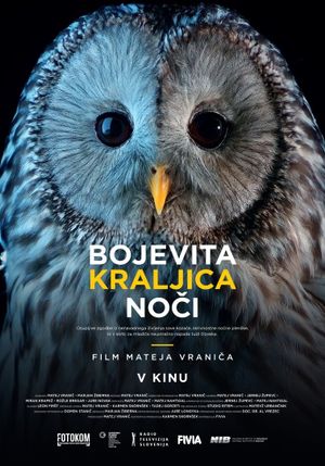 Bojevita kraljica noci's poster