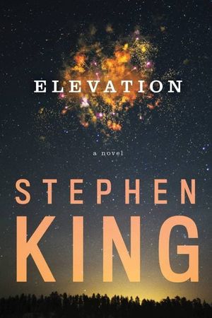 Elevation's poster