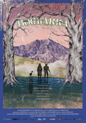 Boglárka's poster