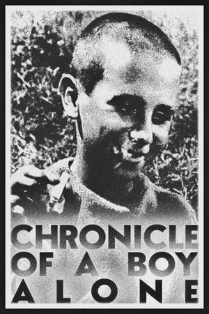 Chronicle of a Boy Alone's poster
