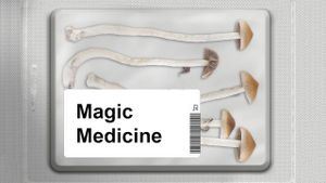 Magic Medicine's poster