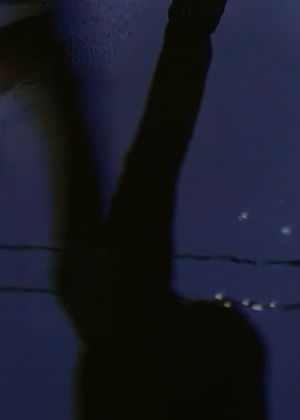 [W I N G S O F L O V E]'s poster