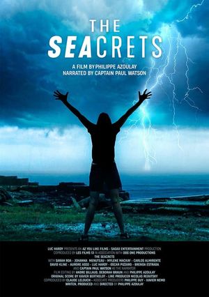 The Seacrets's poster image