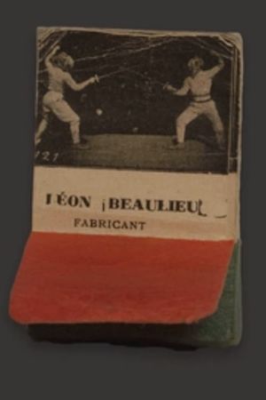 Fencing at the Joinville School's poster