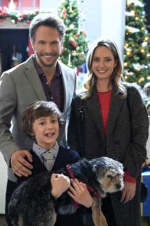 Picture a Perfect Christmas's poster