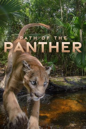 Path of the Panther's poster