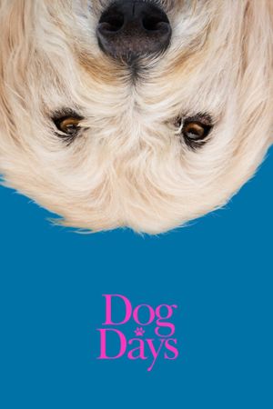 Dog Days's poster