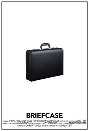 Briefcase's poster