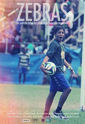 Zebras's poster