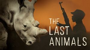 The Last Animals's poster