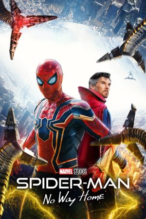 Spider-Man: No Way Home's poster