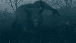The Bray Road Beast's poster