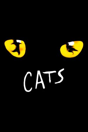 Cats's poster