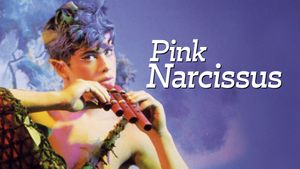 Pink Narcissus's poster