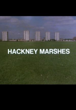 Hackney Marshes's poster