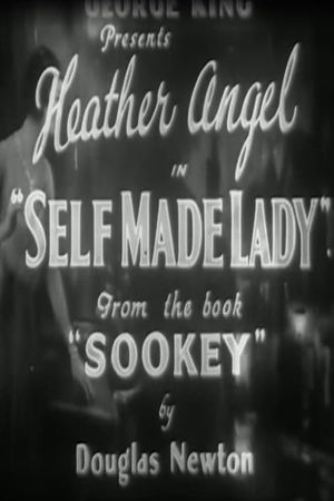 Self Made Lady's poster