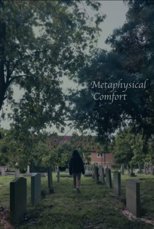 Metaphysical Comfort's poster