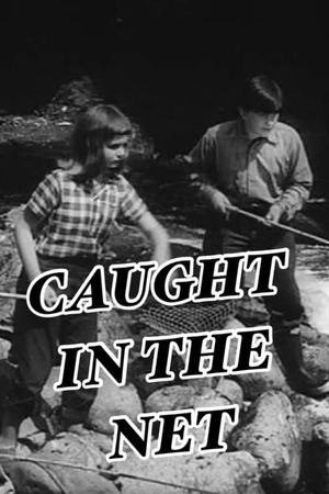 Caught in the Net's poster