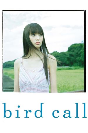 Bird Call's poster