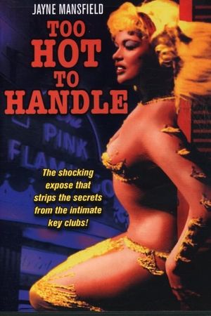 Playgirl After Dark's poster