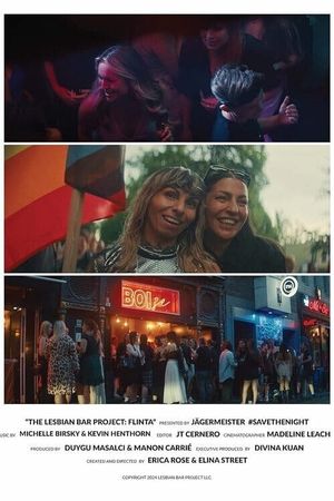 The Lesbian Bar Project: FLINTA's poster