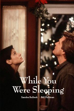 While You Were Sleeping's poster