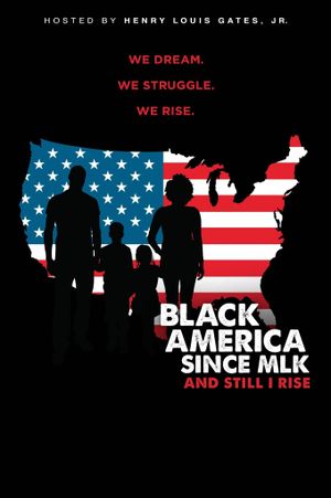 Black America since MLK: And still I rise's poster