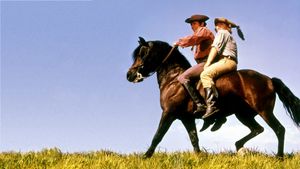 Justin Morgan Had a Horse's poster