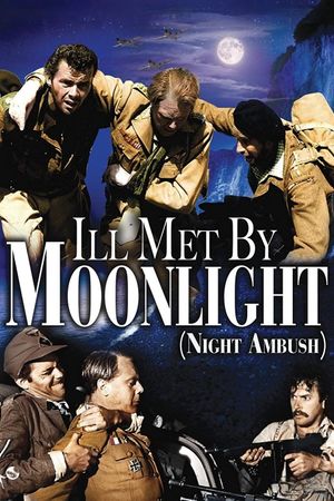 Night Ambush's poster