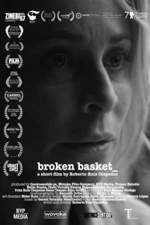 Broken Basket's poster
