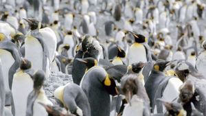 Antarctica: The Frozen Time's poster