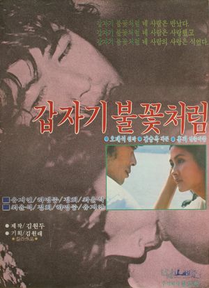 Sudden Flame's poster