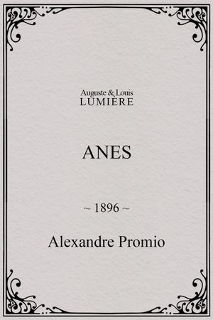 Anes's poster