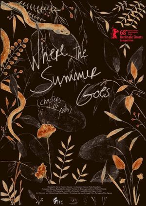 Where the Summer Goes (Chapters on Youth)'s poster