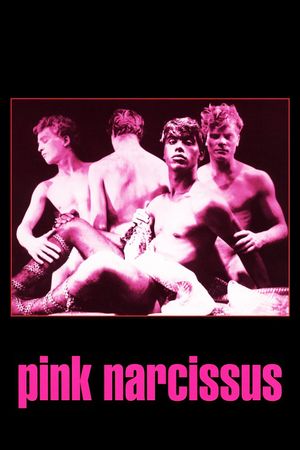 Pink Narcissus's poster