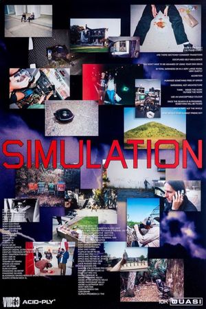 Simulation's poster