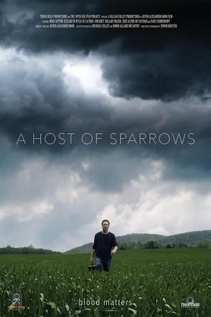 A Host of Sparrows's poster image