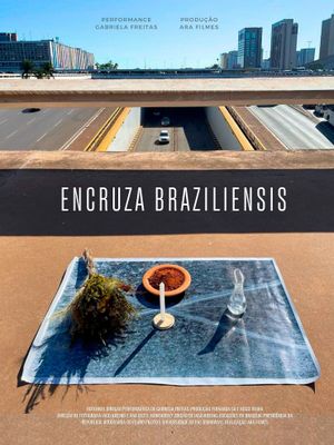 Encruza Braziliensis's poster